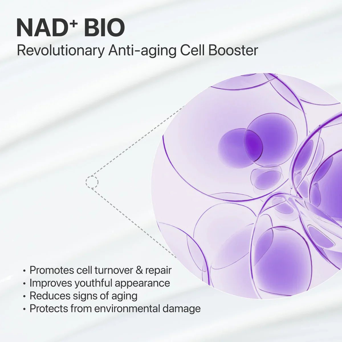 NAD Longevity Collection