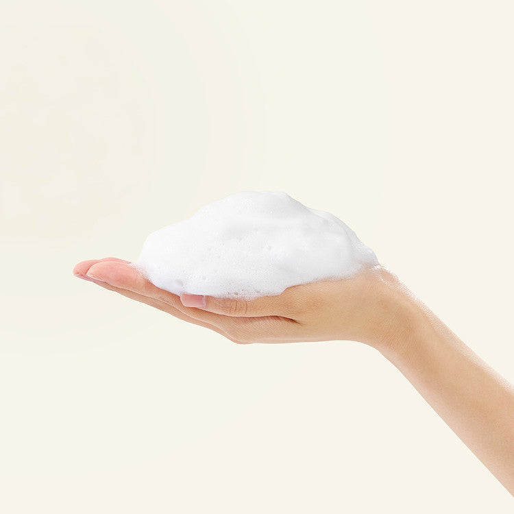 Houttuynia Cordata + Tea Tree Cleansing Foam 150ml