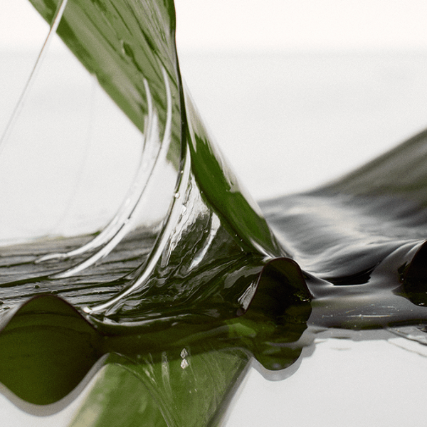 Algae Therapy Mineral Shampoo 500g