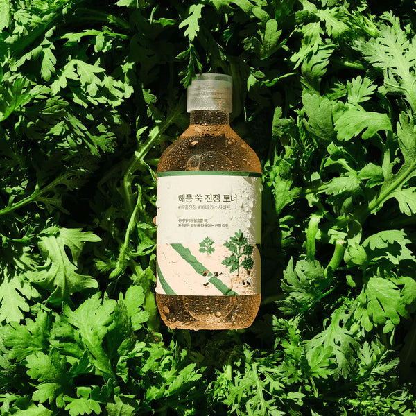 Mugwort Calming Toner 300ml