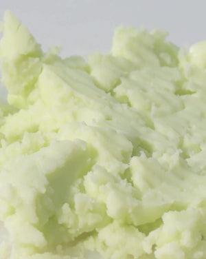 Matte sun stick : Mugwort + Camilia  18g